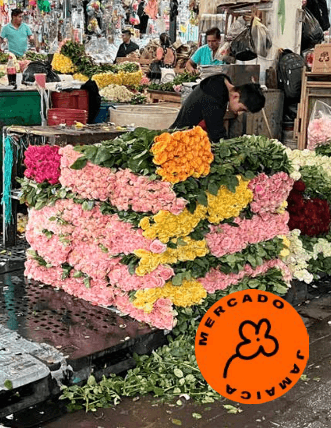 Mercado Jamaica product image